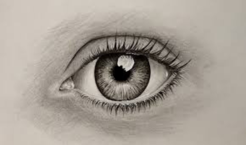draw the eye upward