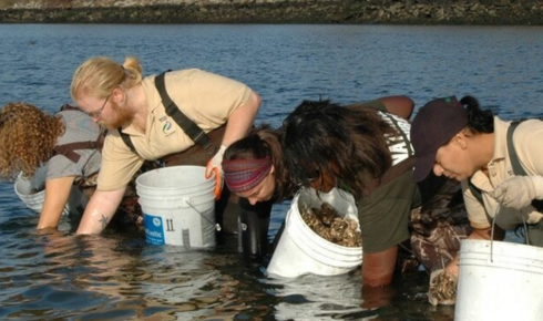 first job is to stop the water