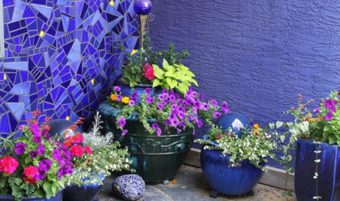 move pots into a more sheltered spot